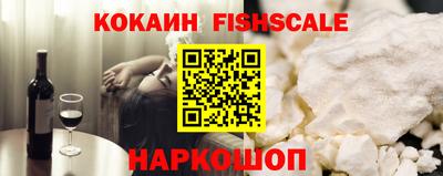 шишки Обь