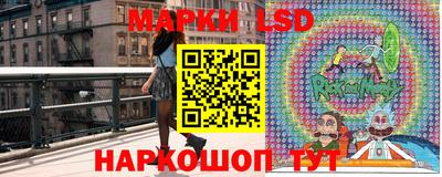 шишки Обь