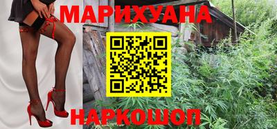 шишки Обь