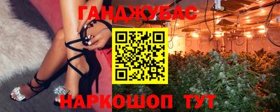 шишки Обь