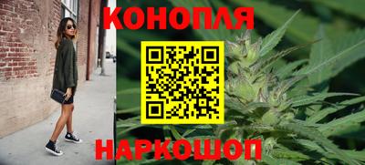 шишки Обь