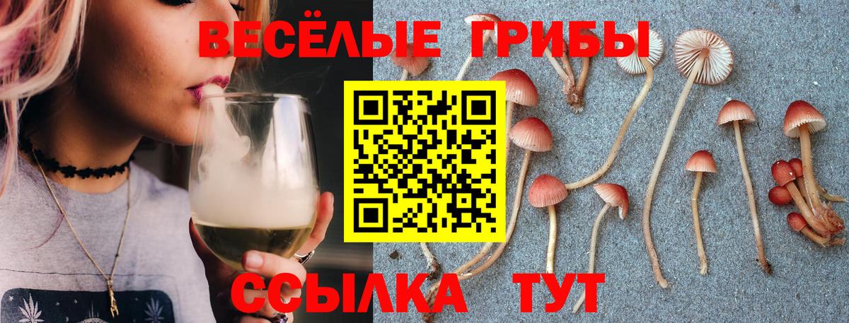 Псилоцибиновые грибы Psilocybe  Вход с VPN  Сорочинск  Галлюциногенные грибы Cubensis 