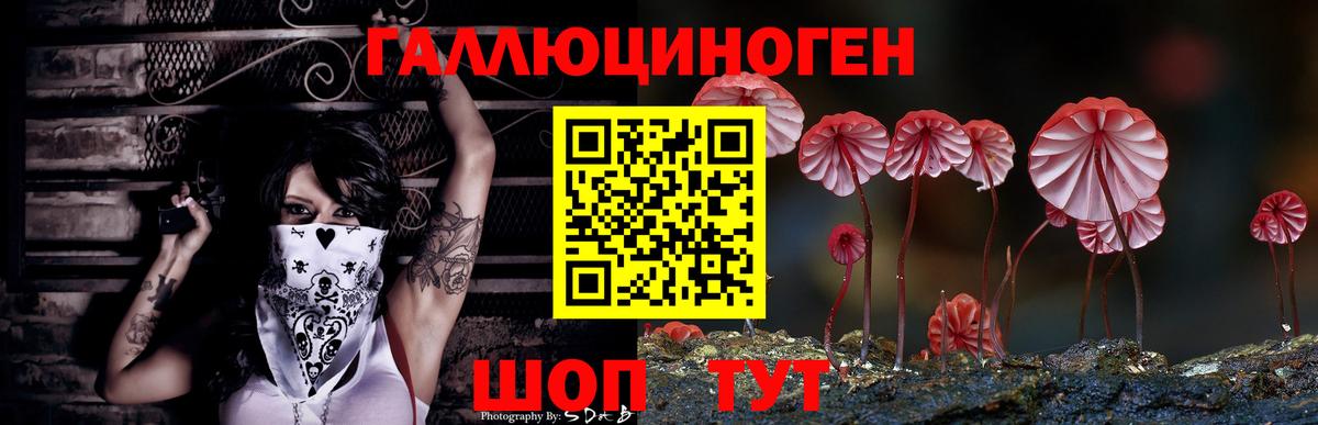 Галлюциногенные грибы мицелий Сорочинск